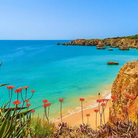Vale De Lapa, Amazing Sea Views, Heated Swimming Pool, Jacuzzi, Ac - Stunning House Carvoeiro (Lagoa)